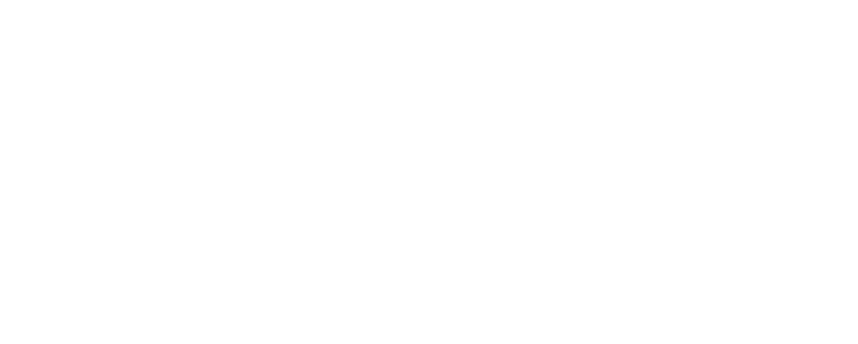LaGwana Cloud Logo (White) LaGwana Cloud