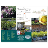 Brochure Tri-Fold Example