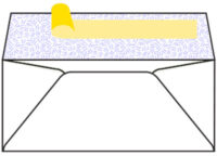 Peel-and-Seal Security Envelope